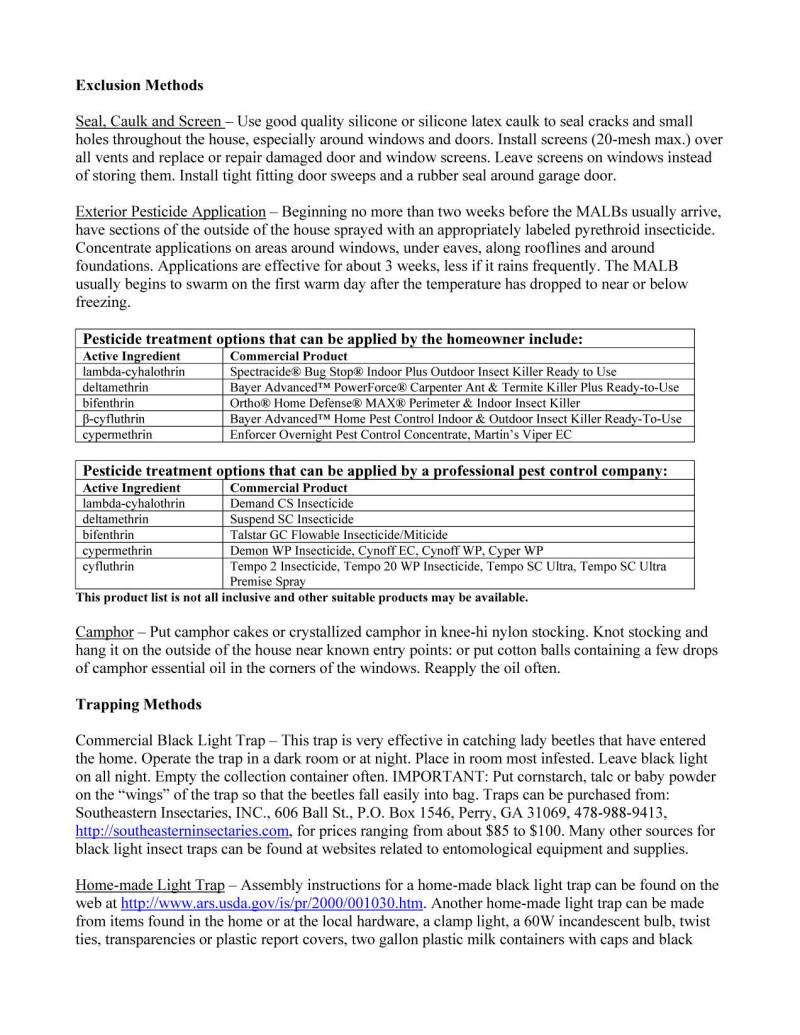 Asian Beetle Page 2